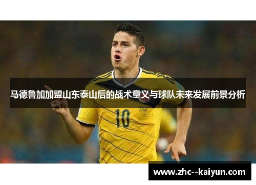 马德鲁加加盟山东泰山后的战术意义与球队未来发展前景分析 马德鲁加加盟山东泰山后的战术意义与球队未来发展前景分析