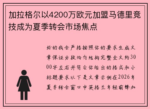 加拉格尔以4200万欧元加盟马德里竞技成为夏季转会市场焦点